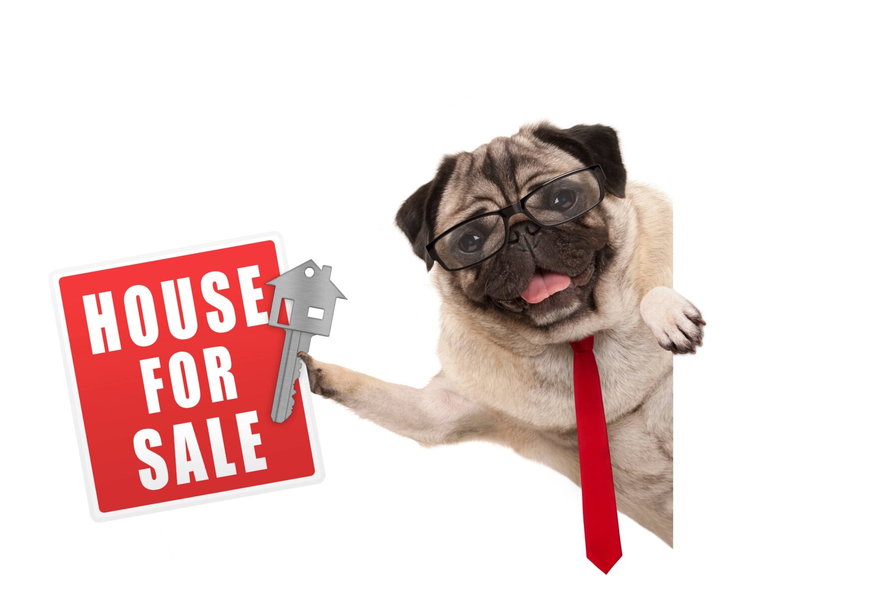 listing-fsbo-to-sell-your-house-in-new-jersey-dog-with-sign